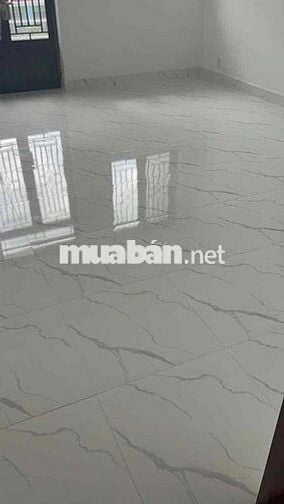 cho thuê nhà nguyên căn mặt tiền đường phường tân phú