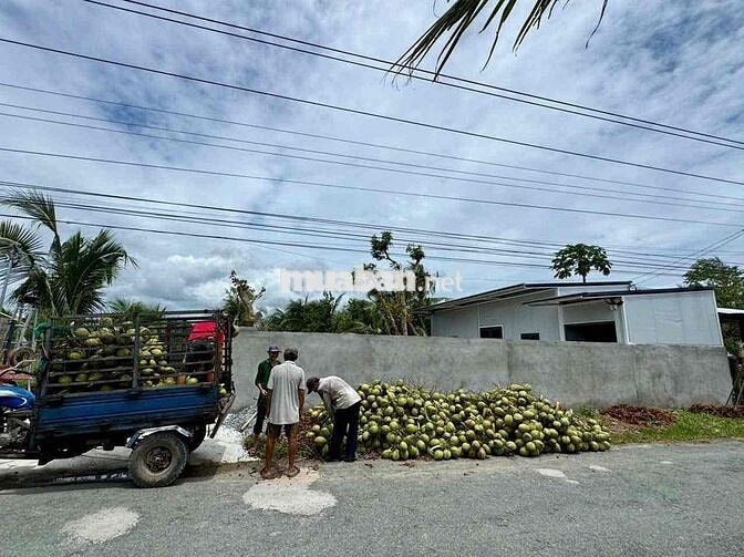 Đất nhà mặt tiền,full dừa xiêm,gần KCN và Cao tốc 33