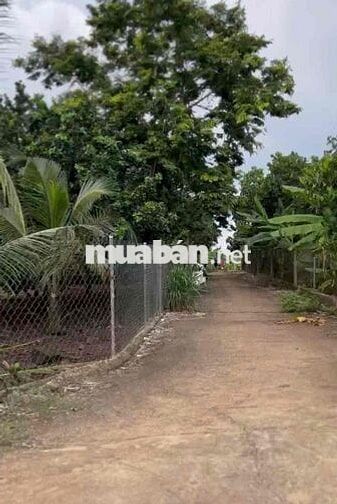 Bán 1.000m² đất 2 mặt tiền tại Xuân Thiện, Thống Nhất, Đồng Nai