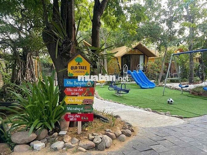 CẦN TUYỂN KẾ TOÁN BÁN HÀNG XUẤT HOÁ ĐƠN