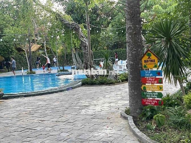 CẦN TUYỂN KẾ TOÁN BÁN HÀNG XUẤT HOÁ ĐƠN