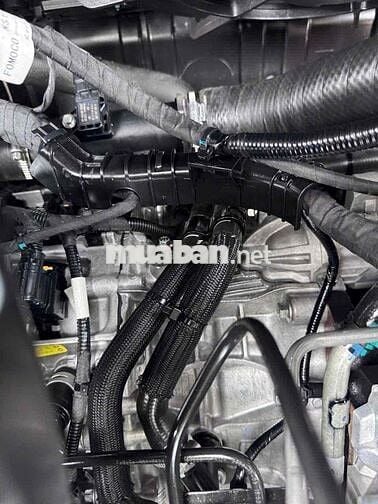 Ford Territory AT 2025 Trắng
