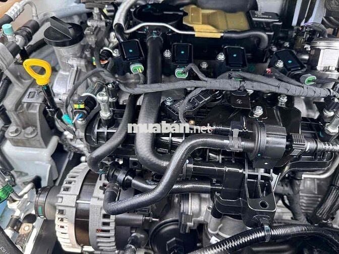 Ford Territory AT 2025 Trắng