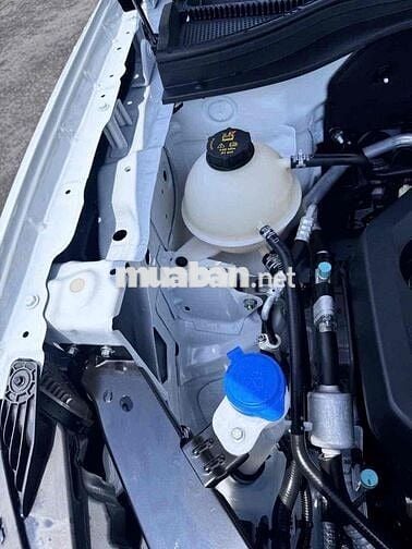 Ford Territory AT 2025 Trắng