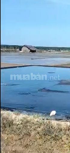 Bán 1 ha đất MT đường 5m, Lý Nhơn nối dài, xã Lý Nhơn Cũ, Cần giờ