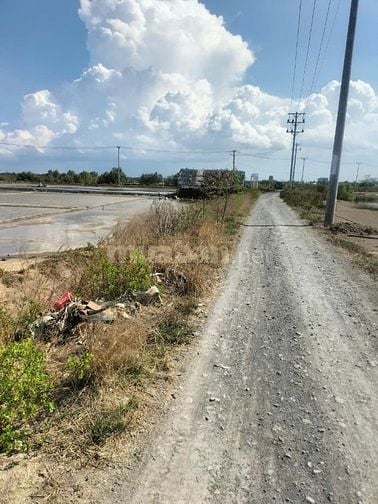 Bán 1 ha đất MT đường 5m, Lý Nhơn nối dài, xã Lý Nhơn Cũ, Cần giờ