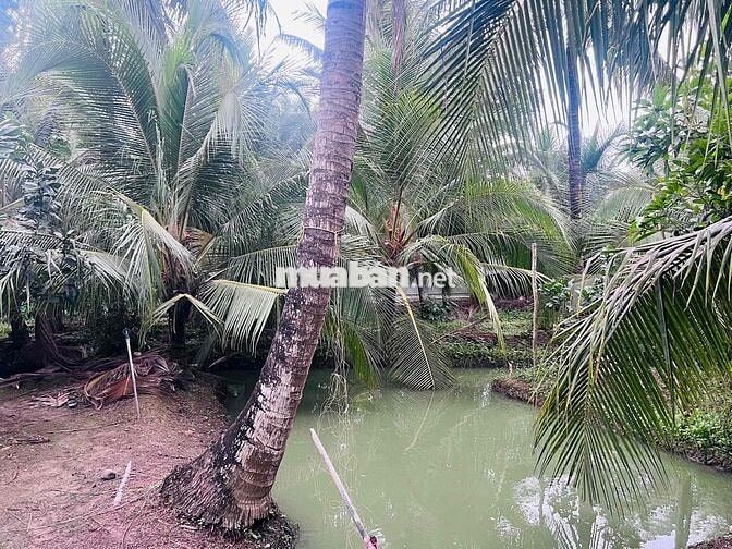 565m2 đất Long Hoà A đường xe 7c đi thông, ngay khu tdc Long Hoà