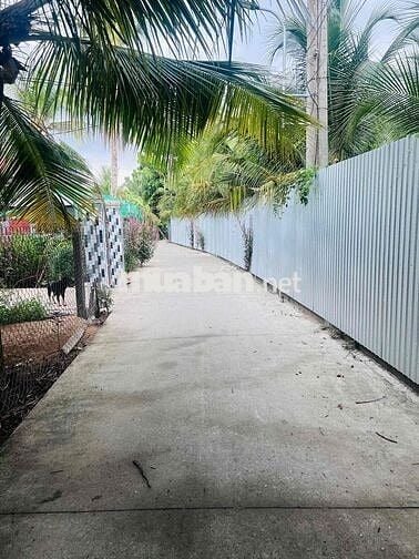 565m2 đất Long Hoà A đường xe 7c đi thông, ngay khu tdc Long Hoà