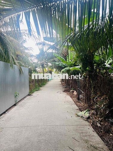 565m2 đất Long Hoà A đường xe 7c đi thông, ngay khu tdc Long Hoà