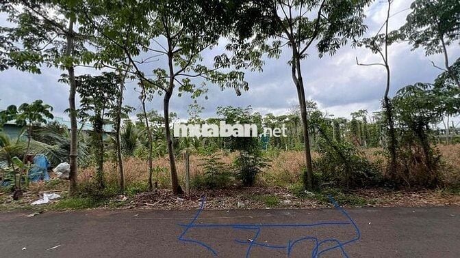 Bán đất Xuyên Mộc chính chủ sổ riêng 190m2