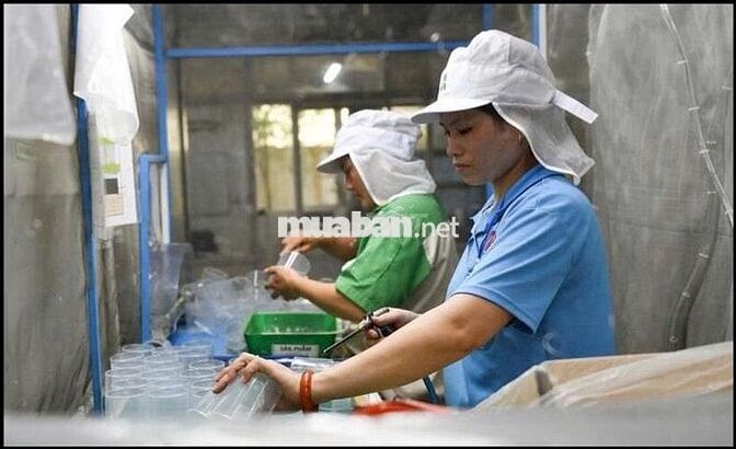 TUYỂN 40 CÔNG NHÂN – THU NHẬP ĐẾN 14 TRIỆU/THÁNG