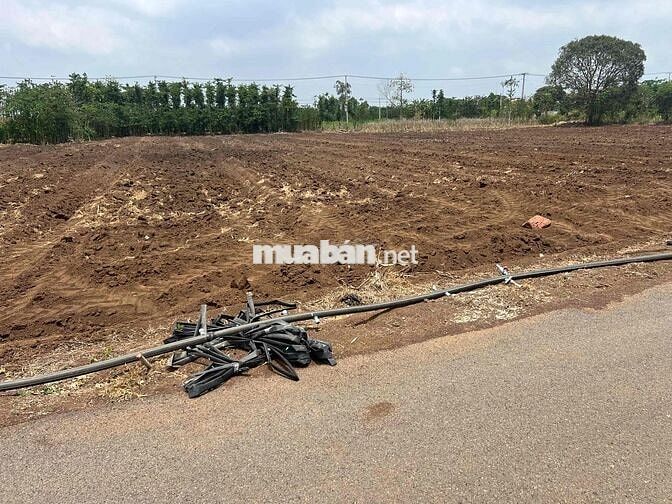 bán đất mặt tiền đường gần vòng xoay ngã 6 . giá rẽ .