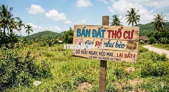 ĐẤT KIỆT Ô TÔ NGUYỄN ĐÌNH CHIỂU