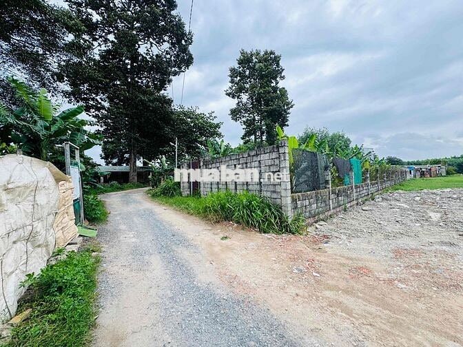 BÁN GẤP LÔ ĐẤT (162M²) 1 SẸT DT768 - GẦN CHỢ TÂN BÌNH, BÁCH HÓA XANH