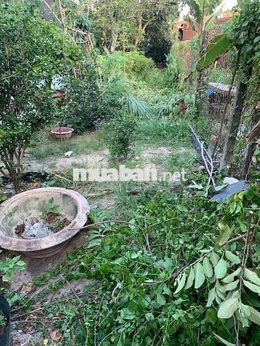 bán đất thổ cư 2 lô liền kề có sổ riêng