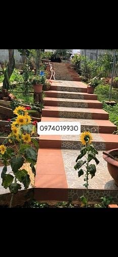 Chính chủ bán nhà đất vườn tại Y Ngông 21 tỷ Thương lượng