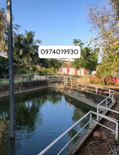 Chính chủ bán nhà đất vườn tại Y Ngông 21 tỷ Thương lượng