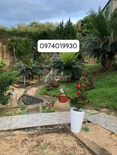 Chính chủ bán nhà đất vườn tại Y Ngông 21 tỷ Thương lượng