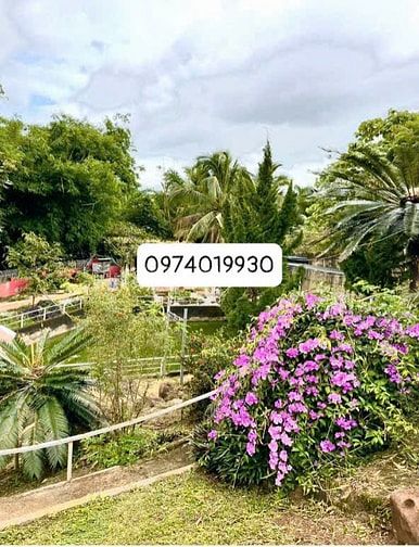Chính chủ bán nhà đất vườn tại Y Ngông 21 tỷ Thương lượng