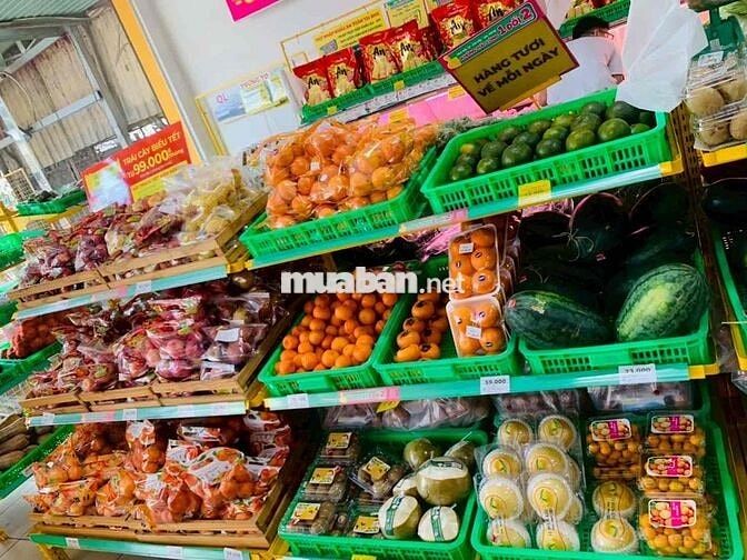 BÁCH HOÁ XANH 223 LIÊN KHU 4-5 BÌNH TÂN