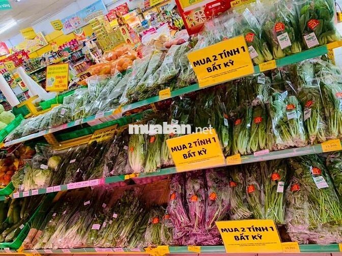 BÁCH HOÁ XANH 223 LIÊN KHU 4-5 BÌNH TÂN
