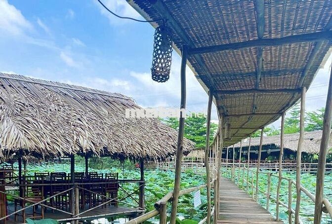TUYỂN PHỤC VỤ PART TIME QUẬN 9 