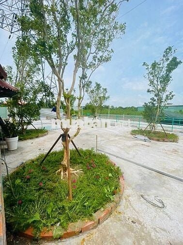 mặt tiền nguyễn bình lê văn lương