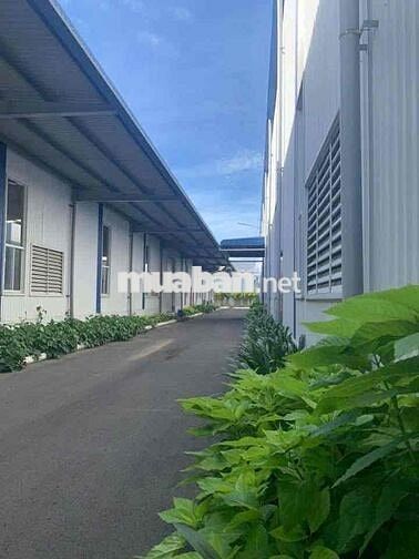 Cho thuê xưởng 14464m2 thuộc kcn Hiệp Phước phù hợp chứa hàng