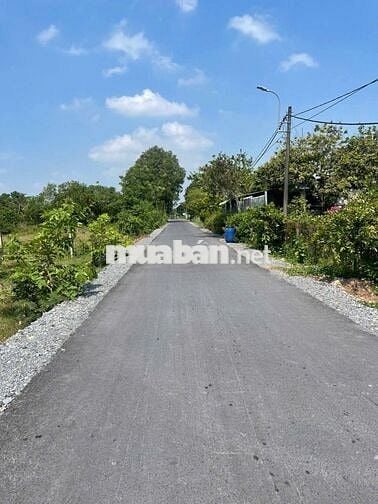 KẸT TIỀN GIẢM SÂU 140,4m2 giá 480 triệu FULL THỔ CƯ, SHR xã Tân An Hội