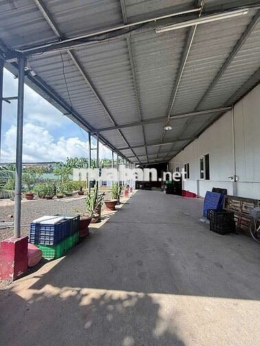 kho xưởng cho thuê làm nghành thực phẩm OK giá 40tr