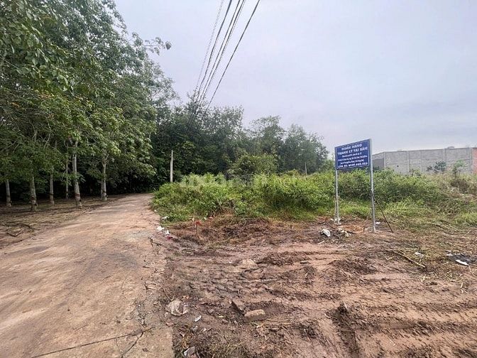 Công ty Đấu giá hợp danh Lam Sơn Sài Gòn THÔNG BÁO ĐẤU GIÁ TÀI SẢN