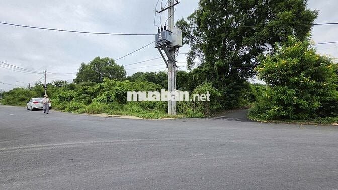 Đất thổ cư DT 30x80 mặt tiền Hồ Thị Bưng, gần Ngã 4 Tân Quy - Củ Chi