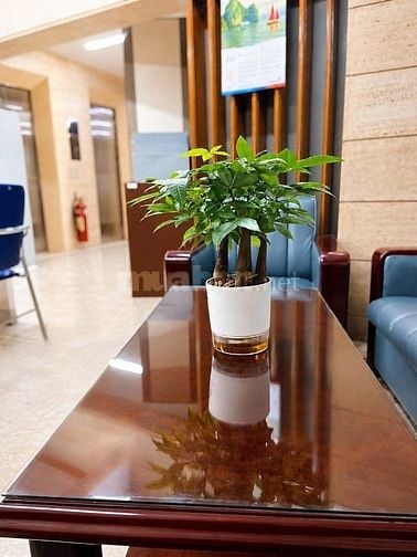 BÁN NHÀ MẶT TIỀN TÂN VĨNH HOÀNG DIỆU, 4x20(3Lầu), Giá 26TY
