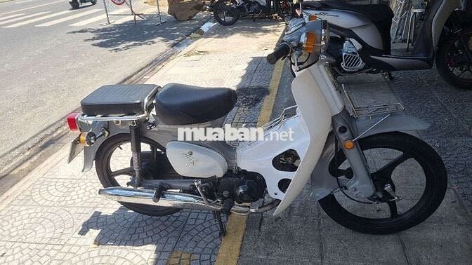 Honda Cub 81 50cc Trắng, Xám