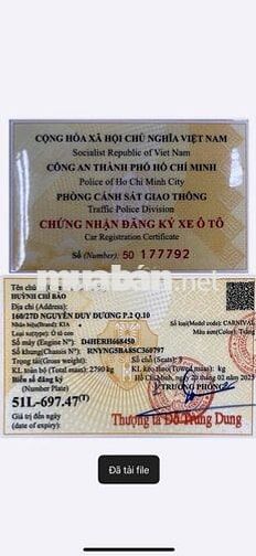 KIA Carnival Luxury Trắng 8 chỗ
