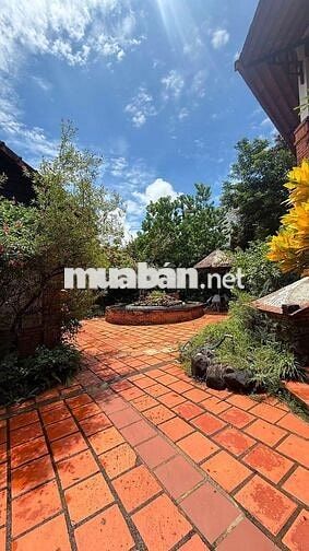 BÁN  HOMSTAY 3089 M2 16 PHÒNG 40 TỶ 