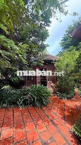 BÁN  HOMSTAY 3089 M2 16 PHÒNG 40 TỶ 