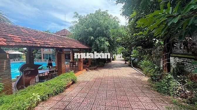 BÁN  HOMSTAY 3089 M2 16 PHÒNG 40 TỶ 