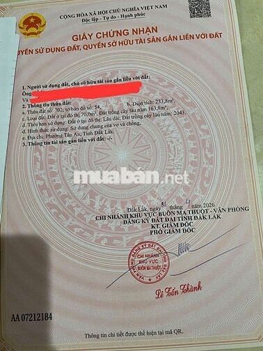 Bán đất đường N2, Đạt Lý, Tân An