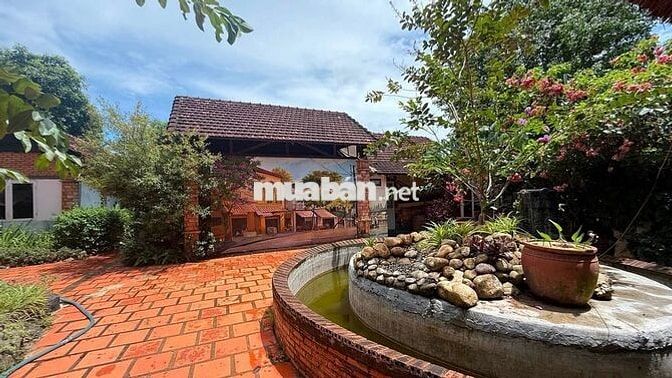 BÁN  HOMSTAY 3089 M2 16 PHÒNG 40 TỶ 