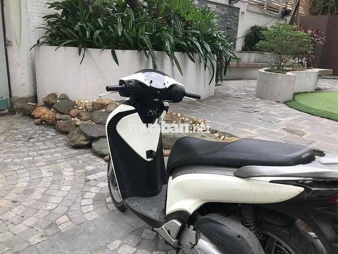 Honda SH 125 2010 Trắng