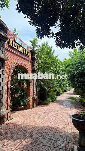 BÁN  HOMSTAY 3089 M2 16 PHÒNG 40 TỶ 