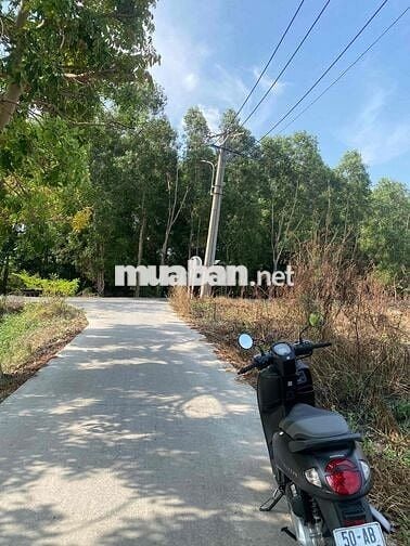 Gia đình cần bán đất diện tích rộng, lên thổ cư được, khu trung tâm