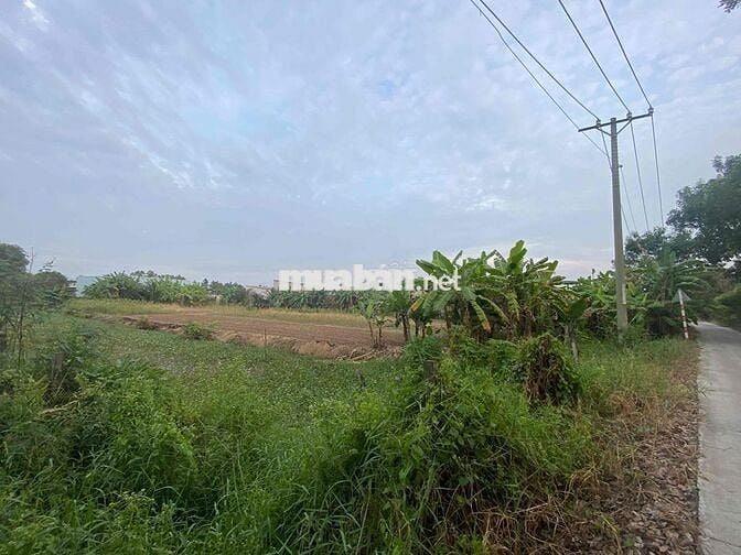 Gia đình cần bán đất diện tích rộng, lên thổ cư được, khu trung tâm