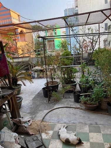 BÁN NHÀ 2 HẺM 2M THÁI PHIÊN, P.2, Q.11, 5.9 TỶ.