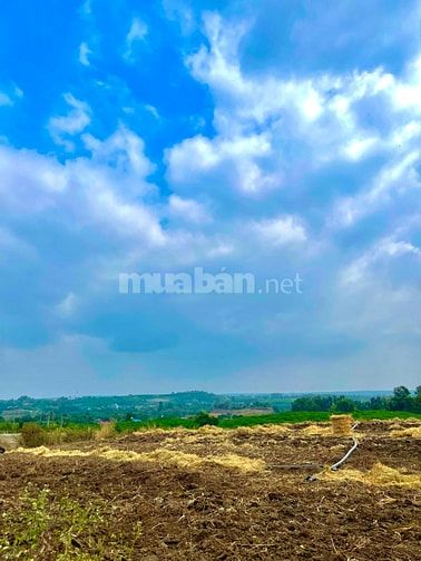 ĐÚNG 999 triệu sở hữu mặt tiền đường 32m, đón hạ tầng và KCN.
