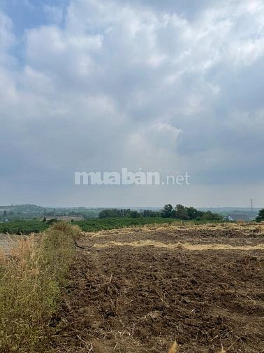 ĐÚNG 999 triệu sở hữu mặt tiền đường 32m, đón hạ tầng và KCN.