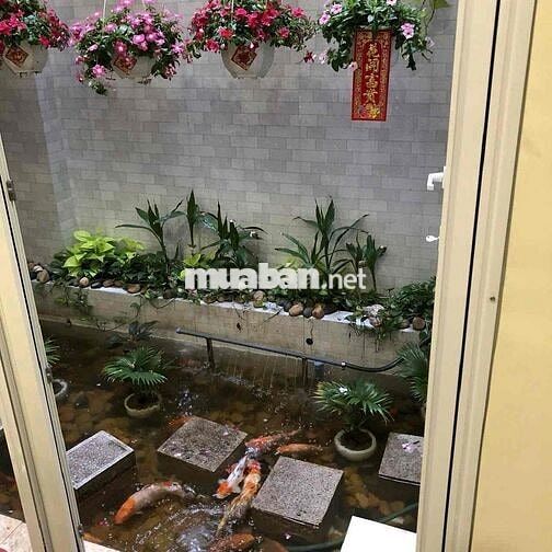 🏡 Bán nhà lầu đúc kiên cố đường Bình Phú. Quận 6. 👉 Diện tích : 4.5 x