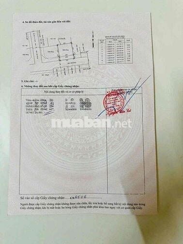 🌺Cần bán đất hẻm 156 Bùi tư toàn - phường An lạc . Qu