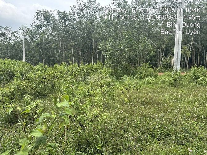 Công ty đấu giá hợp danh Sao Việt 